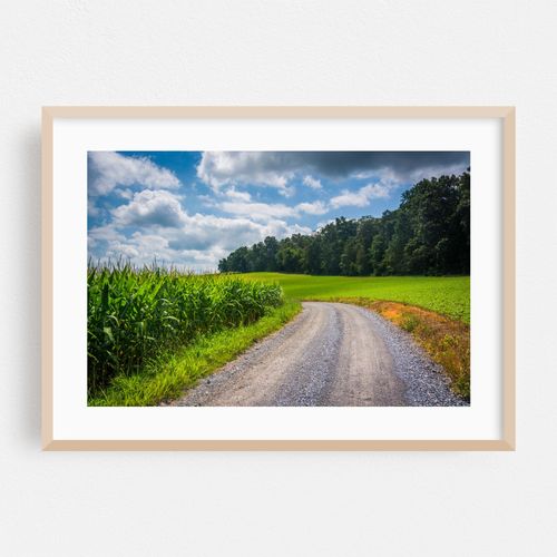 Dirt Roads in Carroll County