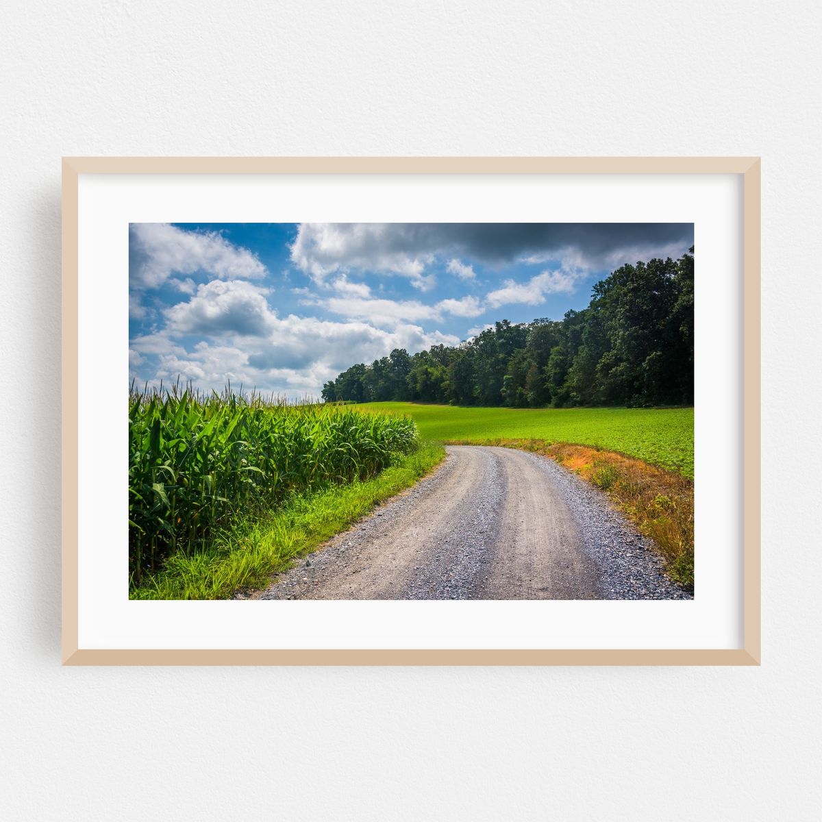 Dirt Roads in Carroll County – image 1 of 6