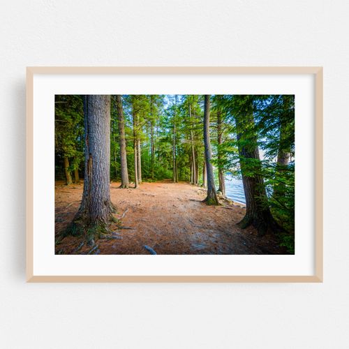 Ahern Trails