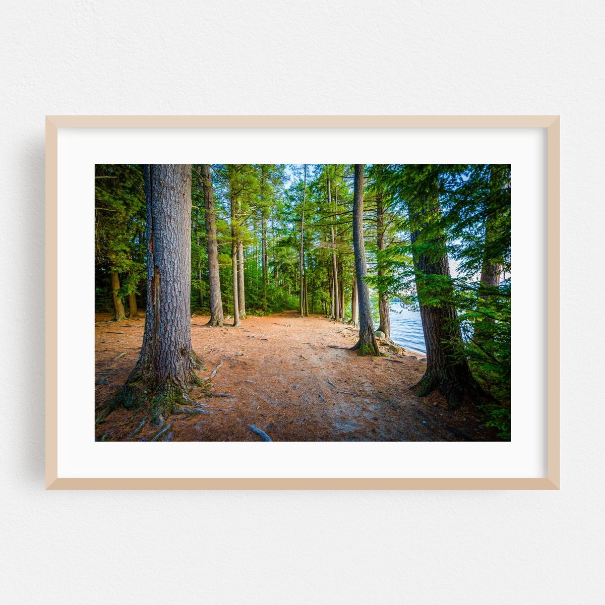 Ahern Trails – image 1 of 6