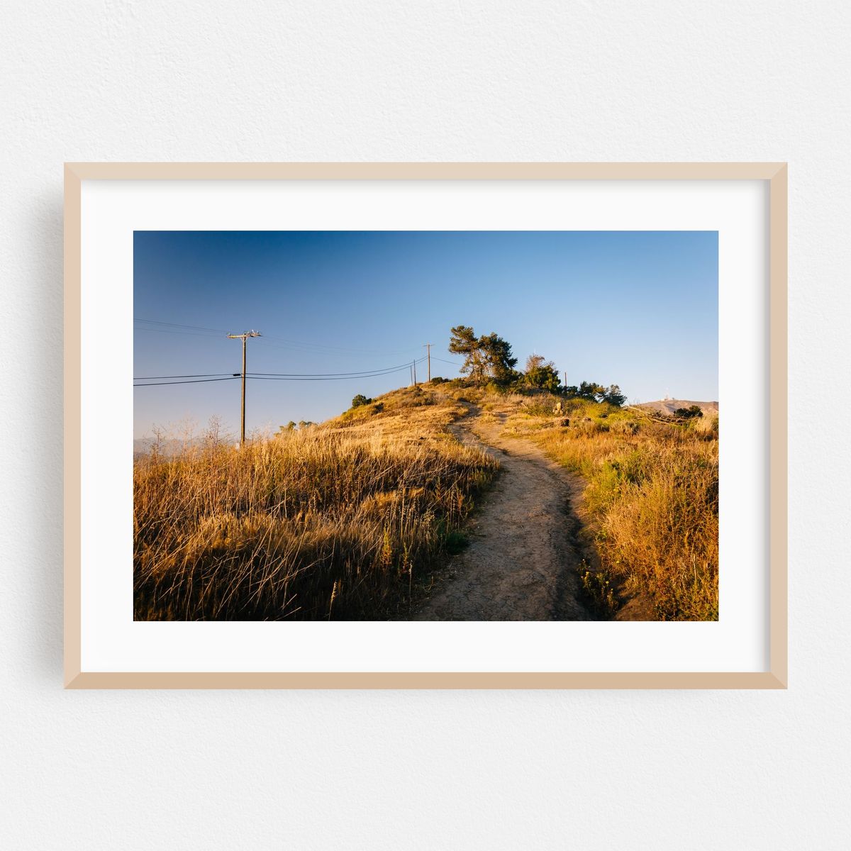 Grant Park Trail – image 1 of 6