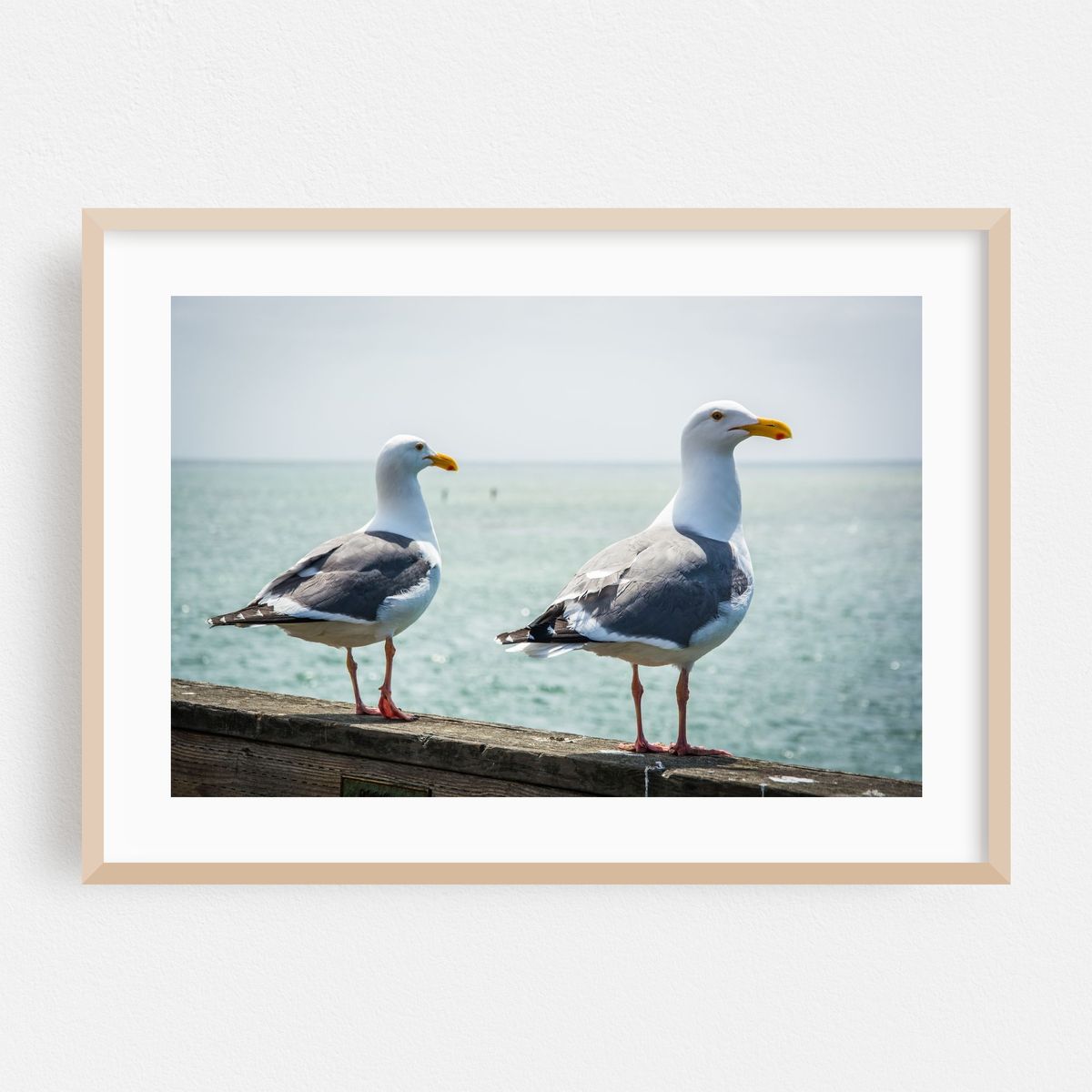 Friends & Seagulls – image 1 of 6