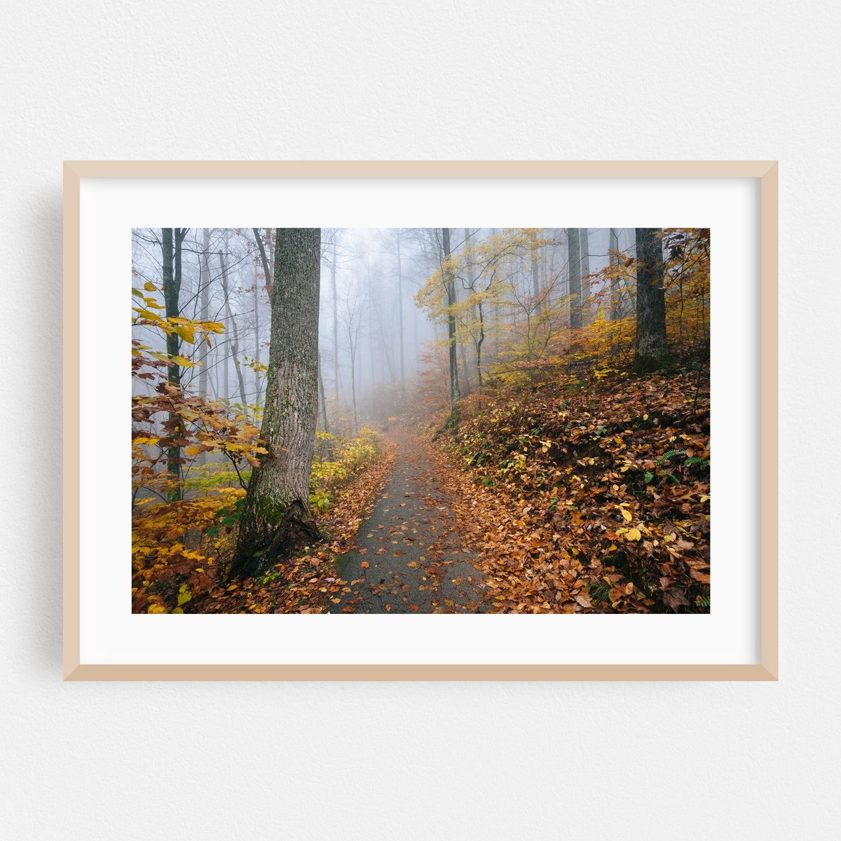 Fog Foliage No. 2 – image 1 of 6