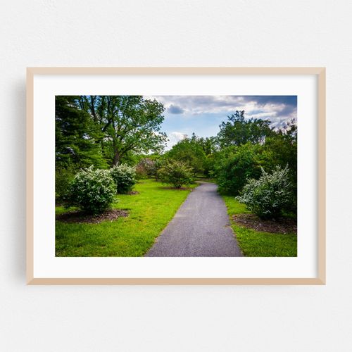 Cylburn Greenery