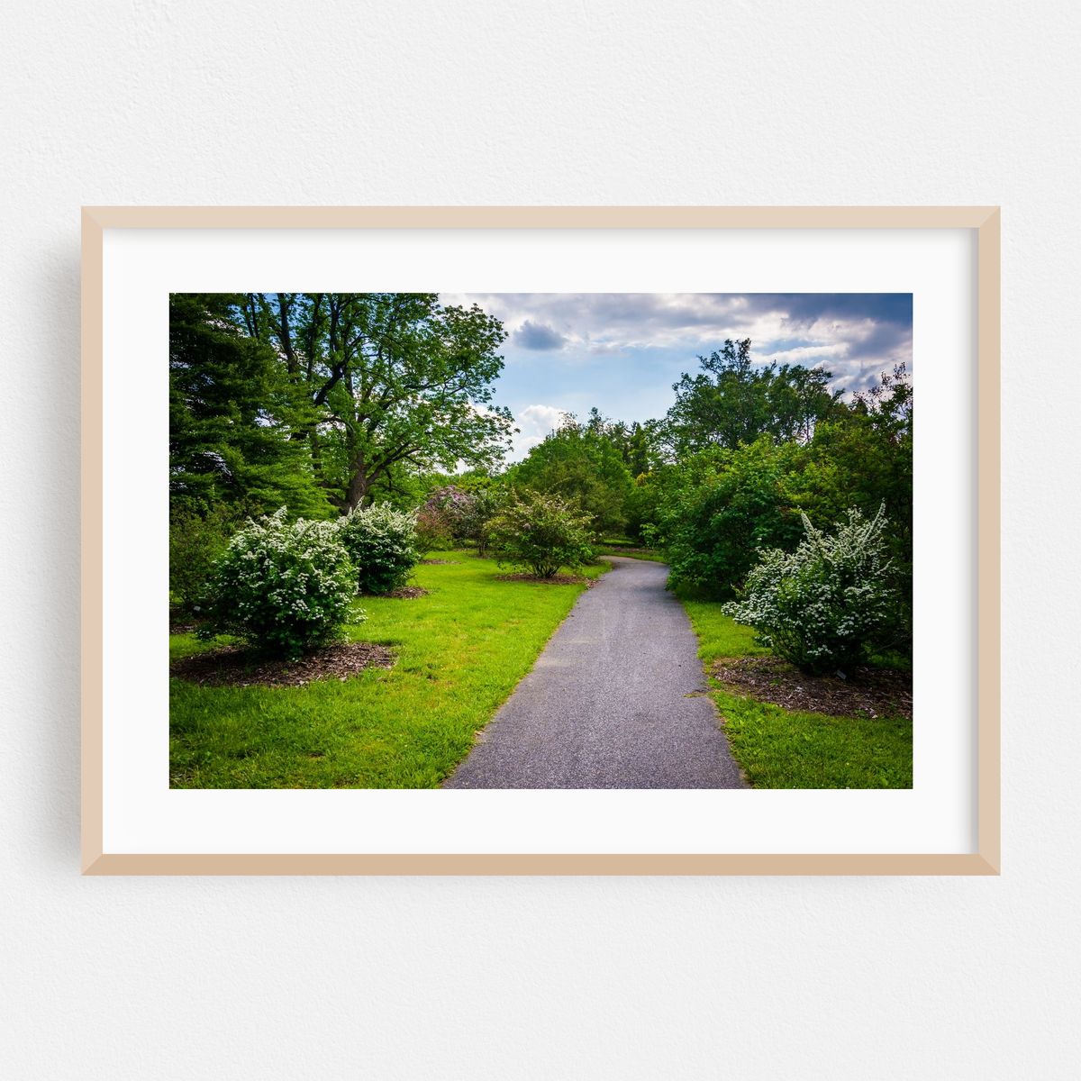Cylburn Greenery – image 1 of 6