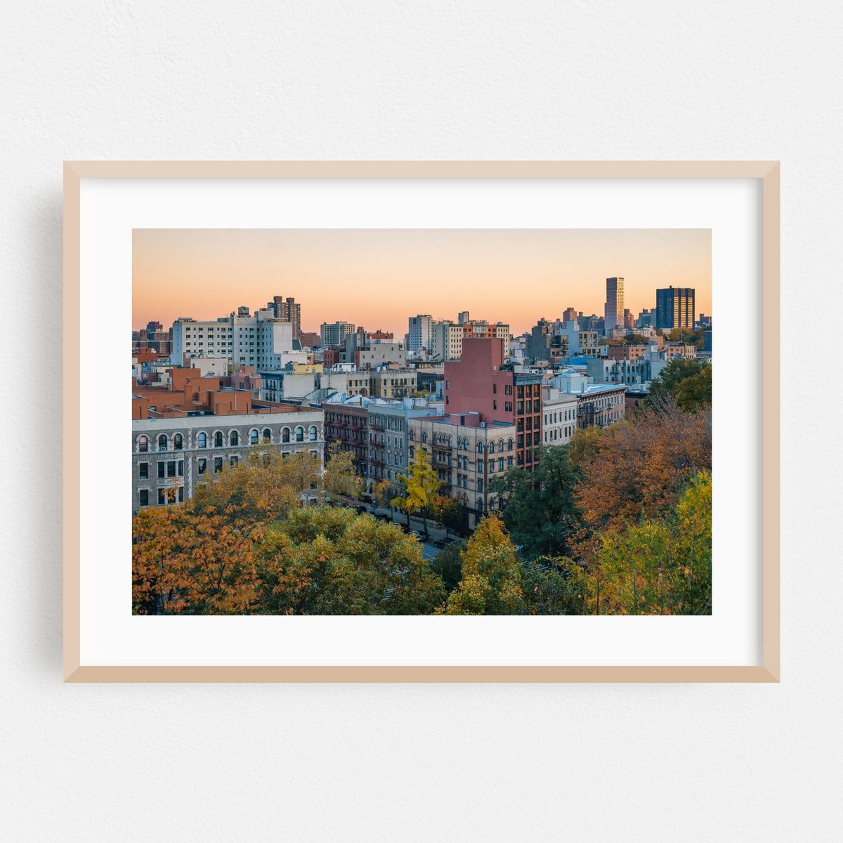Morningside Autumn 02 – image 1 of 6