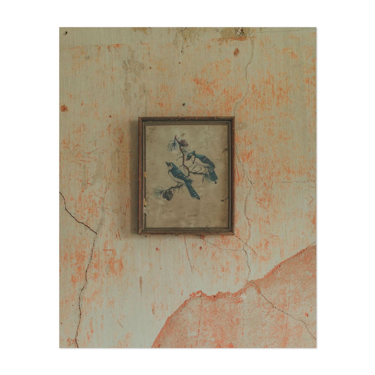 Grace's Archive House 03 – image 1 of 2