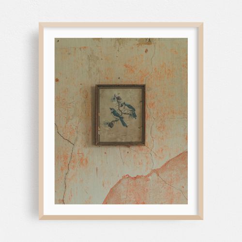 Grace's Archive House 03