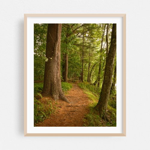 Bay Circuit Trail at Sudbury Reservoir 02