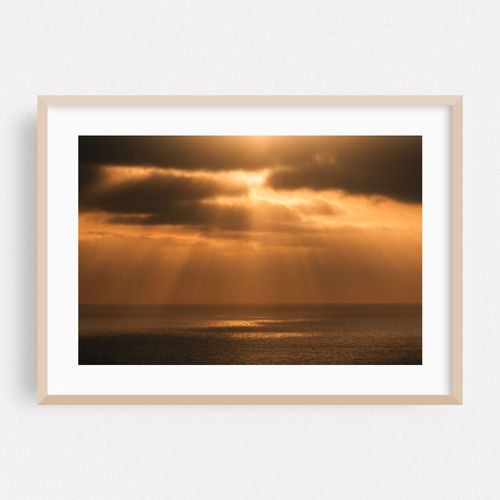 Sun Rays, Torrey Pines