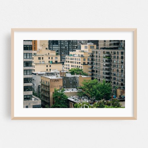 Turtle Bay Views 04