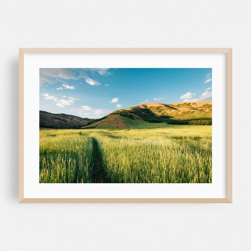 Bonneville Shoreline Trail 02