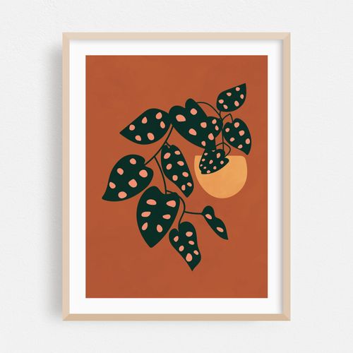 Monstera Adansonii Plant Illustration, Potted House Plant, Boho Art Print, Botanical Wall Art