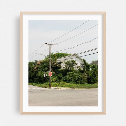 Foliage, Rockaways 01
