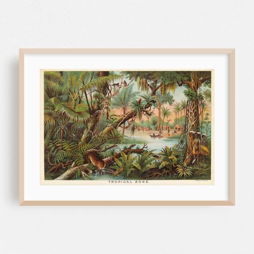 Tropical Zone (1893)
