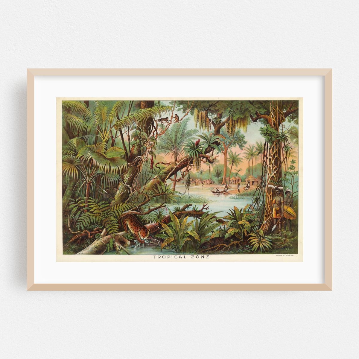 Tropical Zone (1893) – image 1 of 6