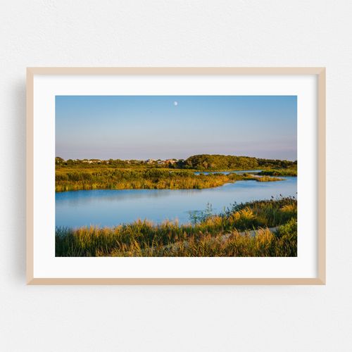 South Cape May Meadows