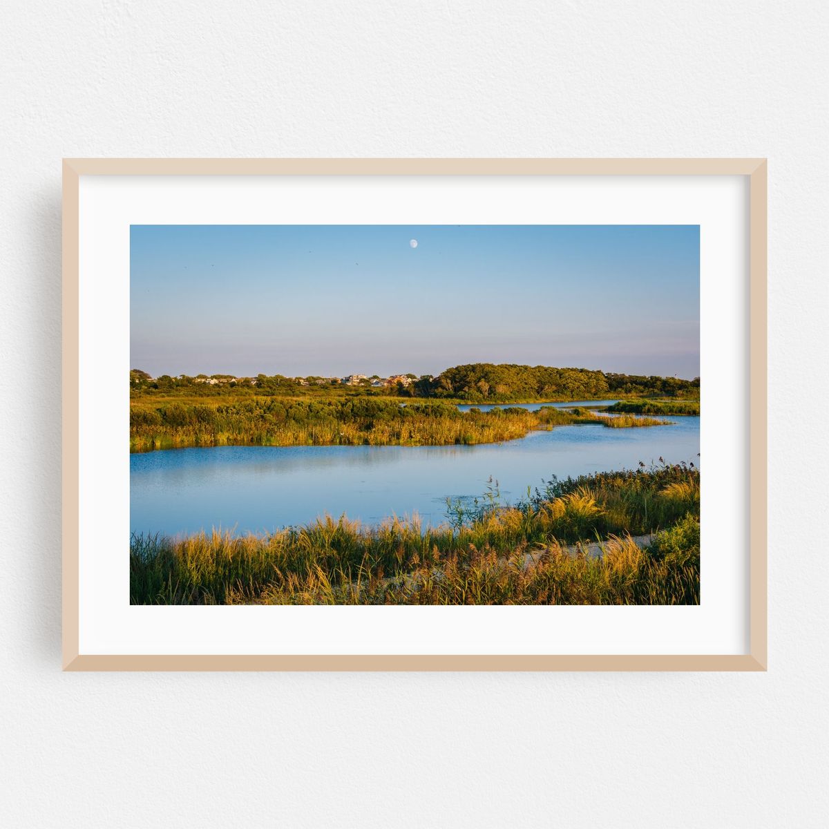 South Cape May Meadows – image 1 of 6