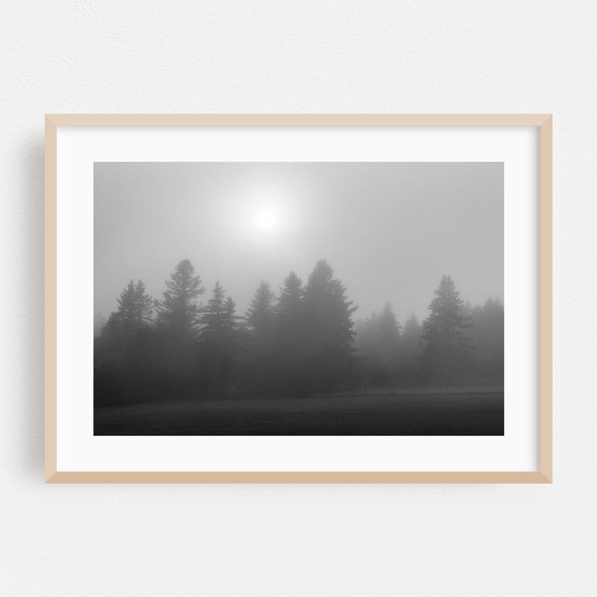 Foggy Pines, Cutler 02 – image 1 of 6