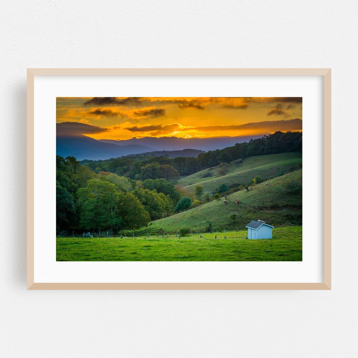 Rolling Hills – image 1 of 6