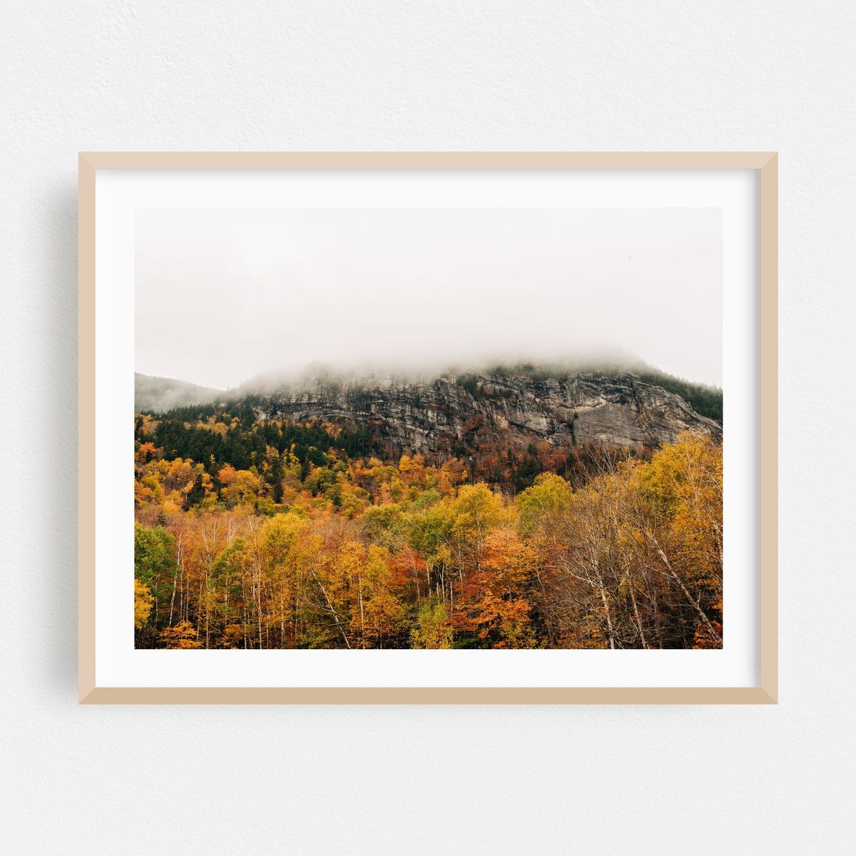Foggy Grafton Notch 01 – image 1 of 3