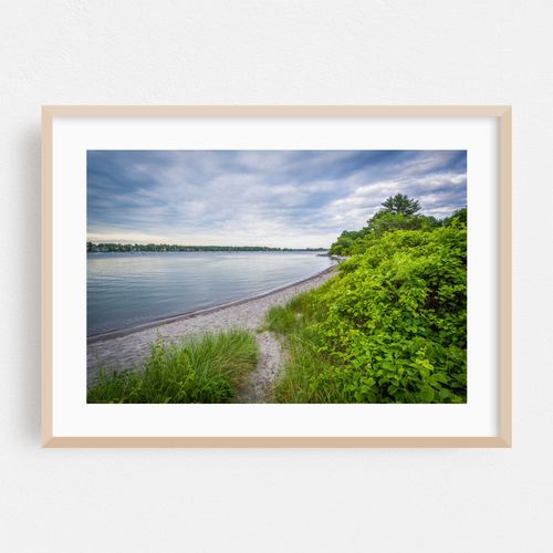 Rocky Shore