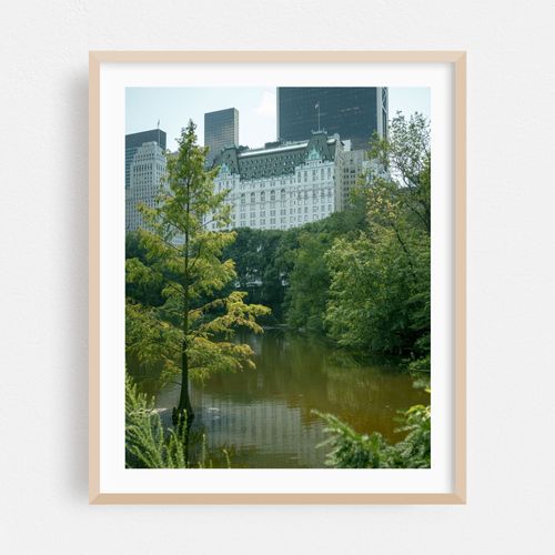 The Pond, Central Park
