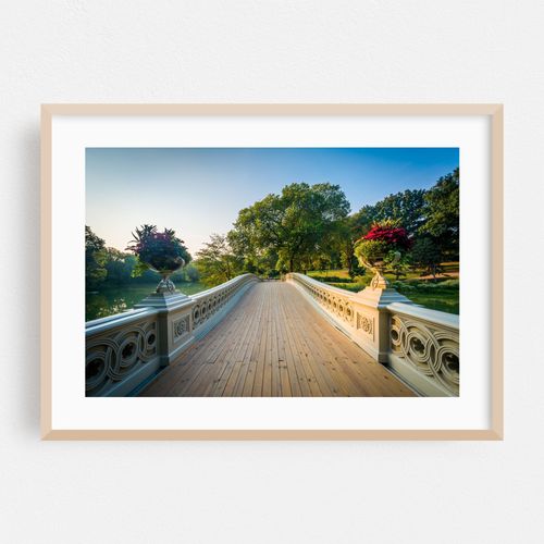 Bow Bridge, Central Park 05