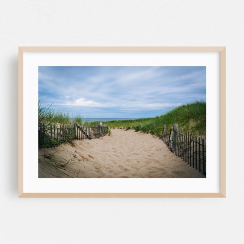 Dunes at Race Point, Provincetown 02