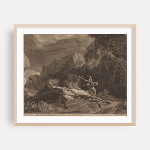 The Lion and Stag (1770)