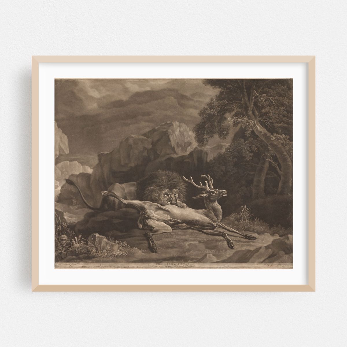 The Lion and Stag (1770) – image 1 of 5