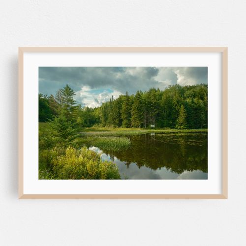 Lake Alma, Averys Place 03