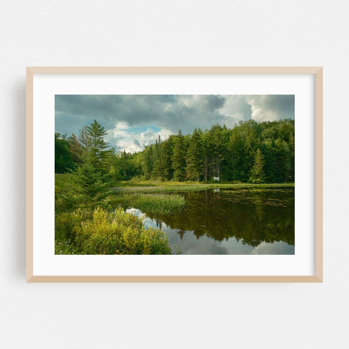 Lake Alma, Averys Place 03 – image 1 of 6