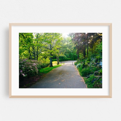Gardens along the Pittock Mansion