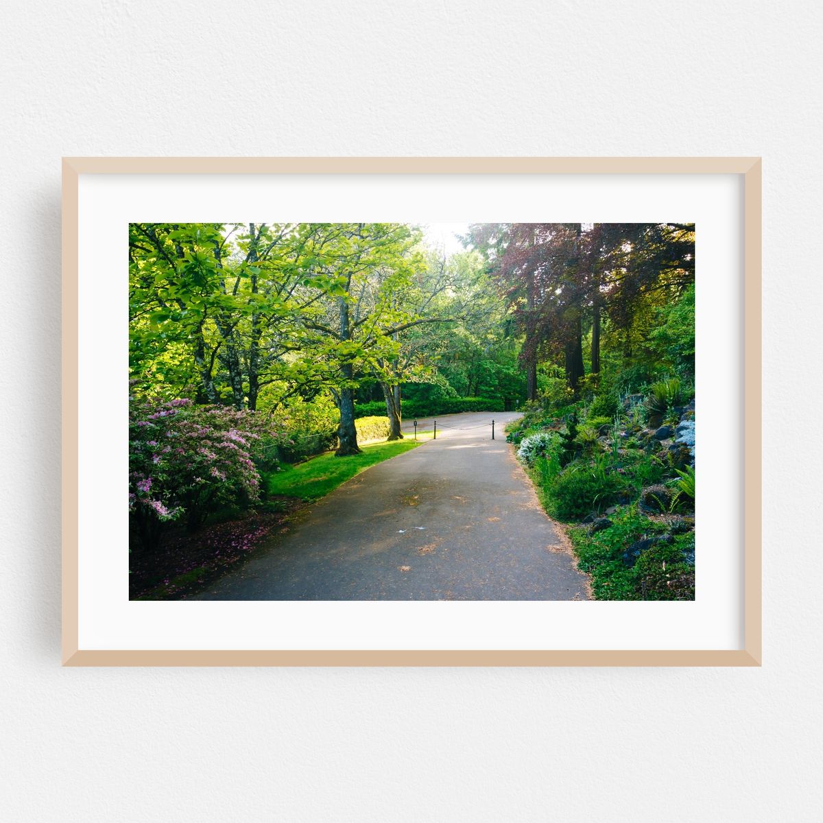 Gardens along the Pittock Mansion – image 1 of 6