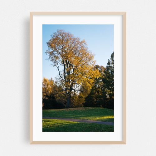 Wave Hill Autumn