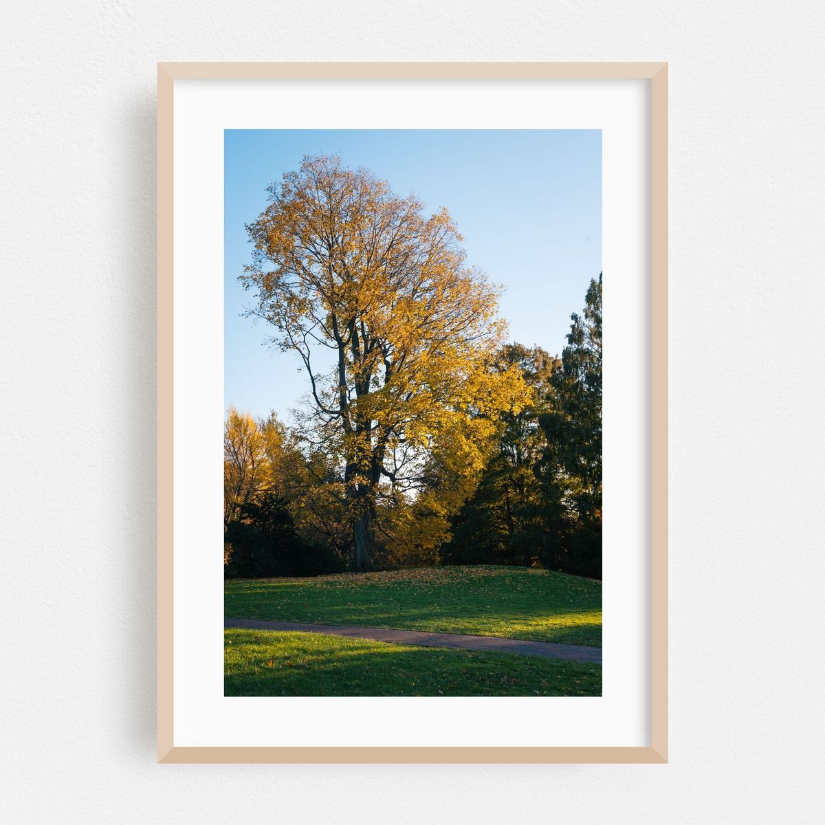 Wave Hill Autumn – image 1 of 16