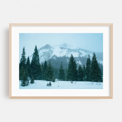 Winter in Montezuma 02
