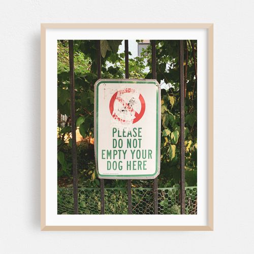 Do Not Empty Your Dog
