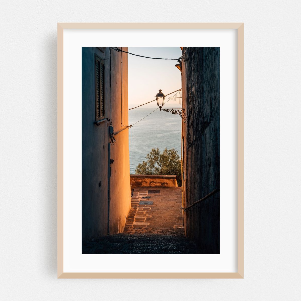 Morning Glow – image 1 of 16