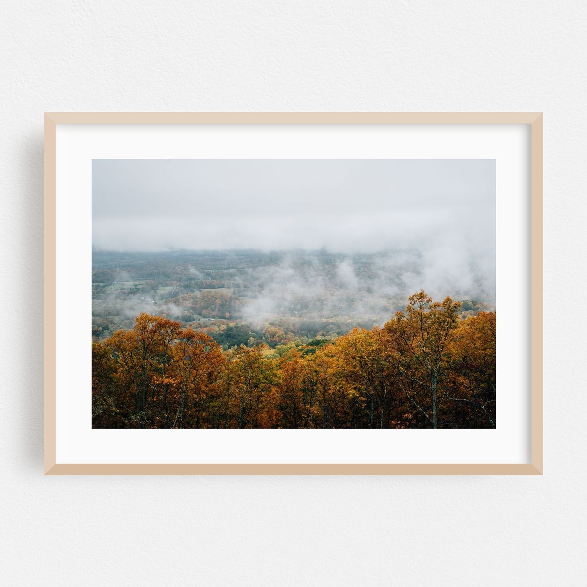Shrouded No. 2 – image 1 of 6