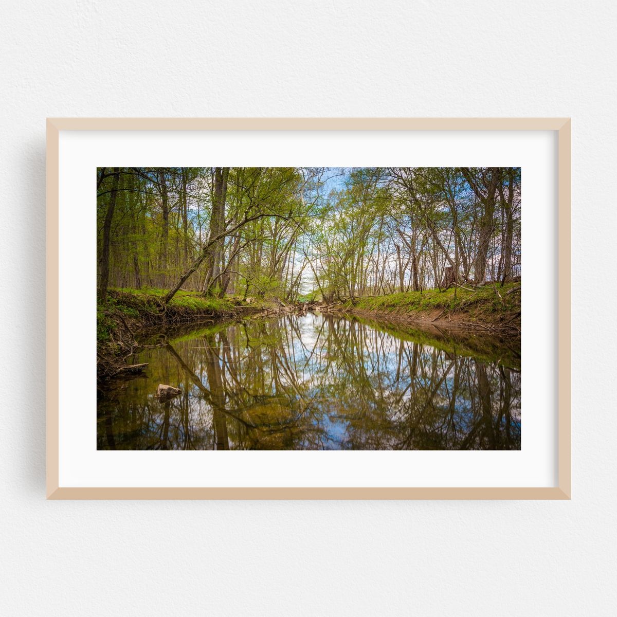 The Patowmack Canal – image 1 of 6