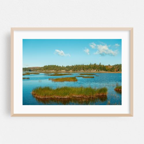 Tupper Lake Landscape