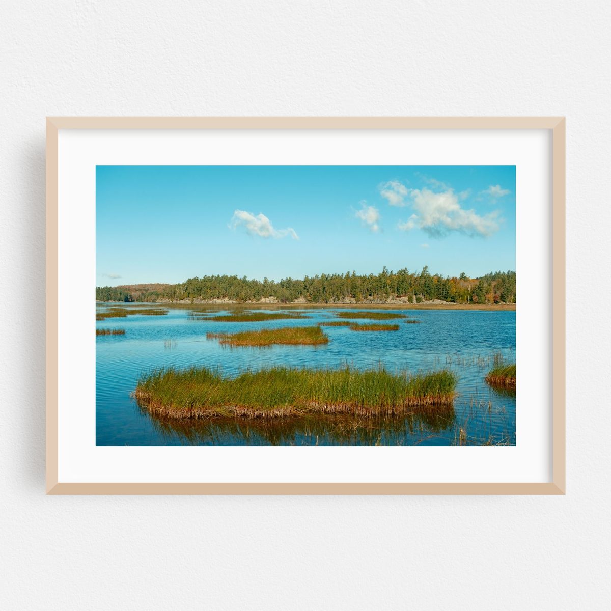 Tupper Lake Landscape – image 1 of 6