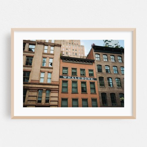 Whalebone, Tribeca 02