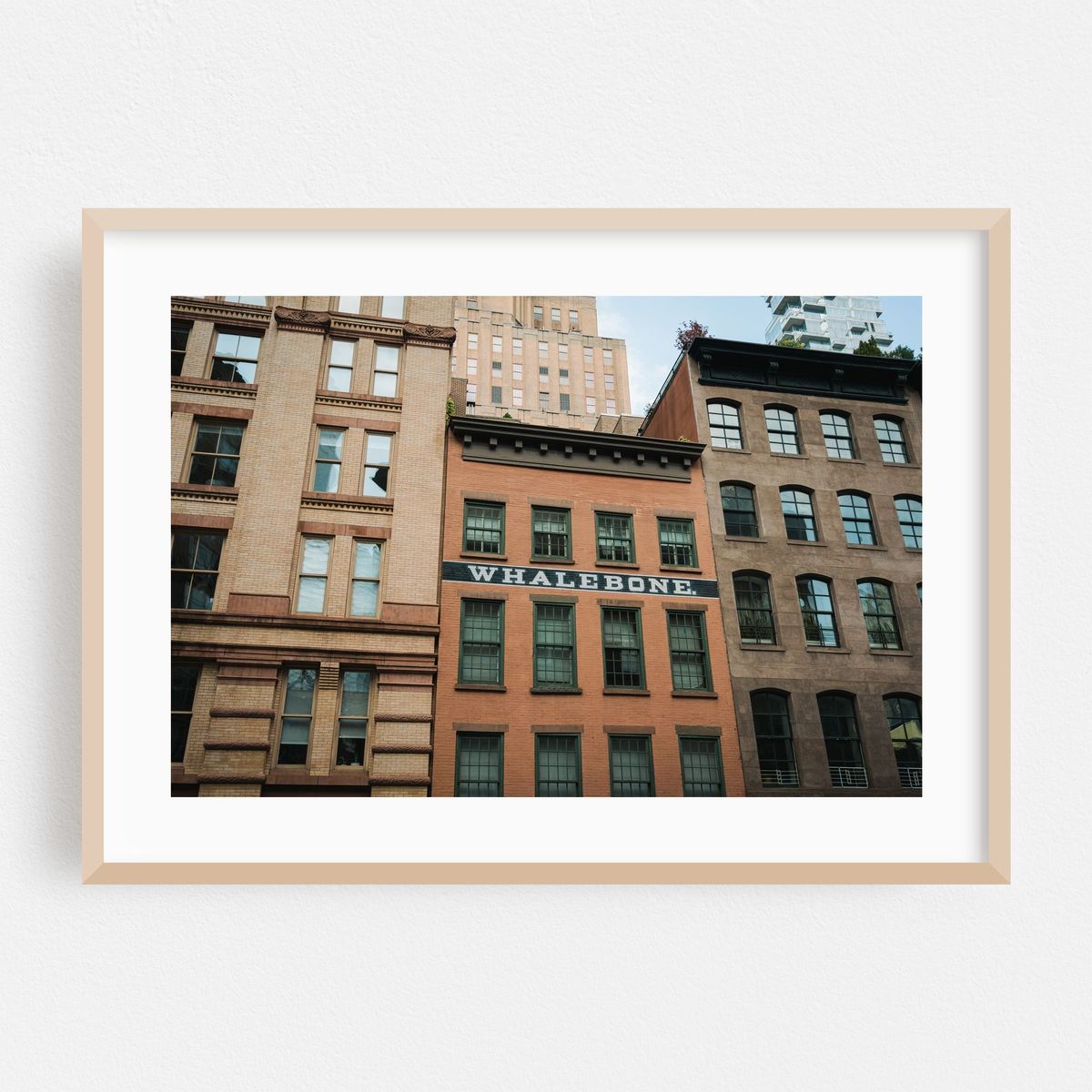 Whalebone, Tribeca 02 – image 1 of 6