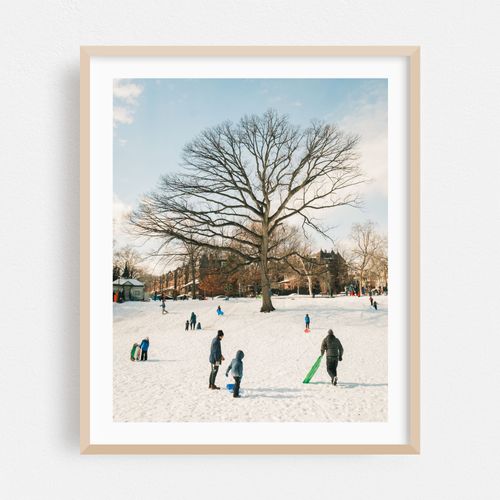 Sledding at Clark Park, Philadelphia 02