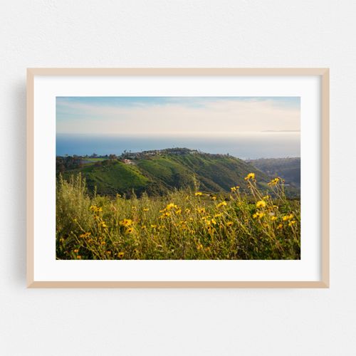 Top of the World, Laguna Beach 04