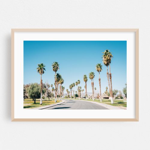 Tamarisk Palms