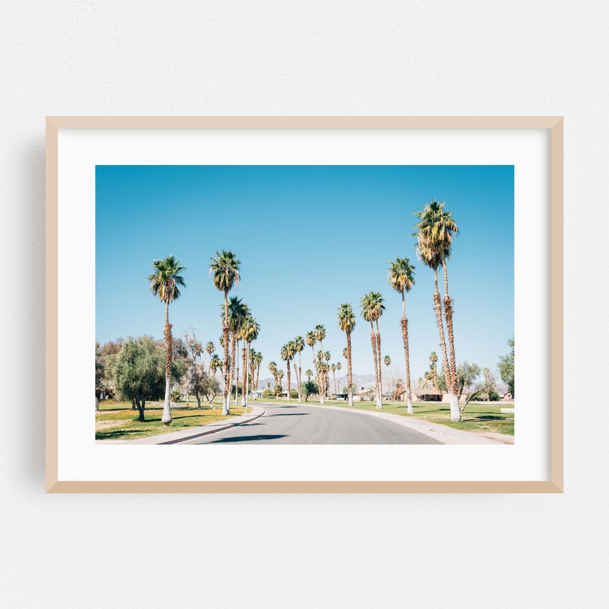 Tamarisk Palms – image 1 of 6